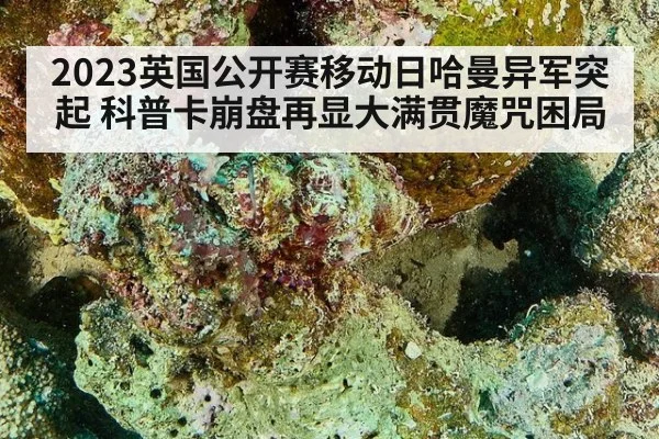 2023英国公开赛移动日哈曼异军突起 科普卡崩盘再显大满贯魔咒困局