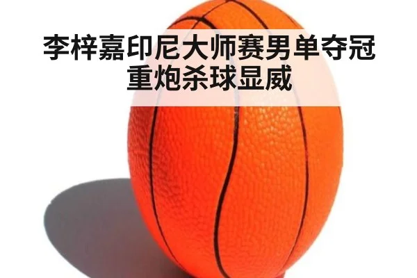 李梓嘉印尼大师赛男单夺冠 重炮杀球显威