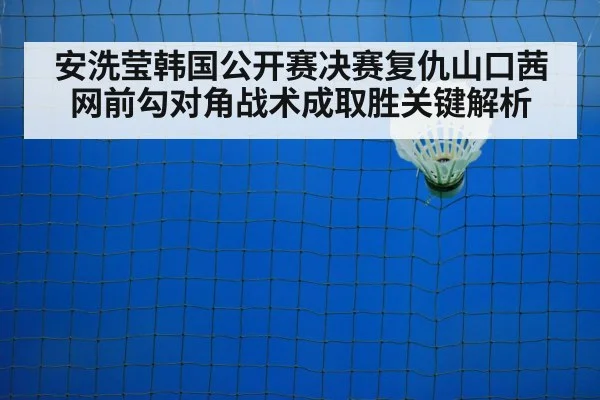 badminton net shot